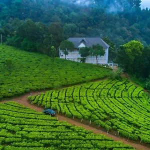 Station touristique Tea Harvester